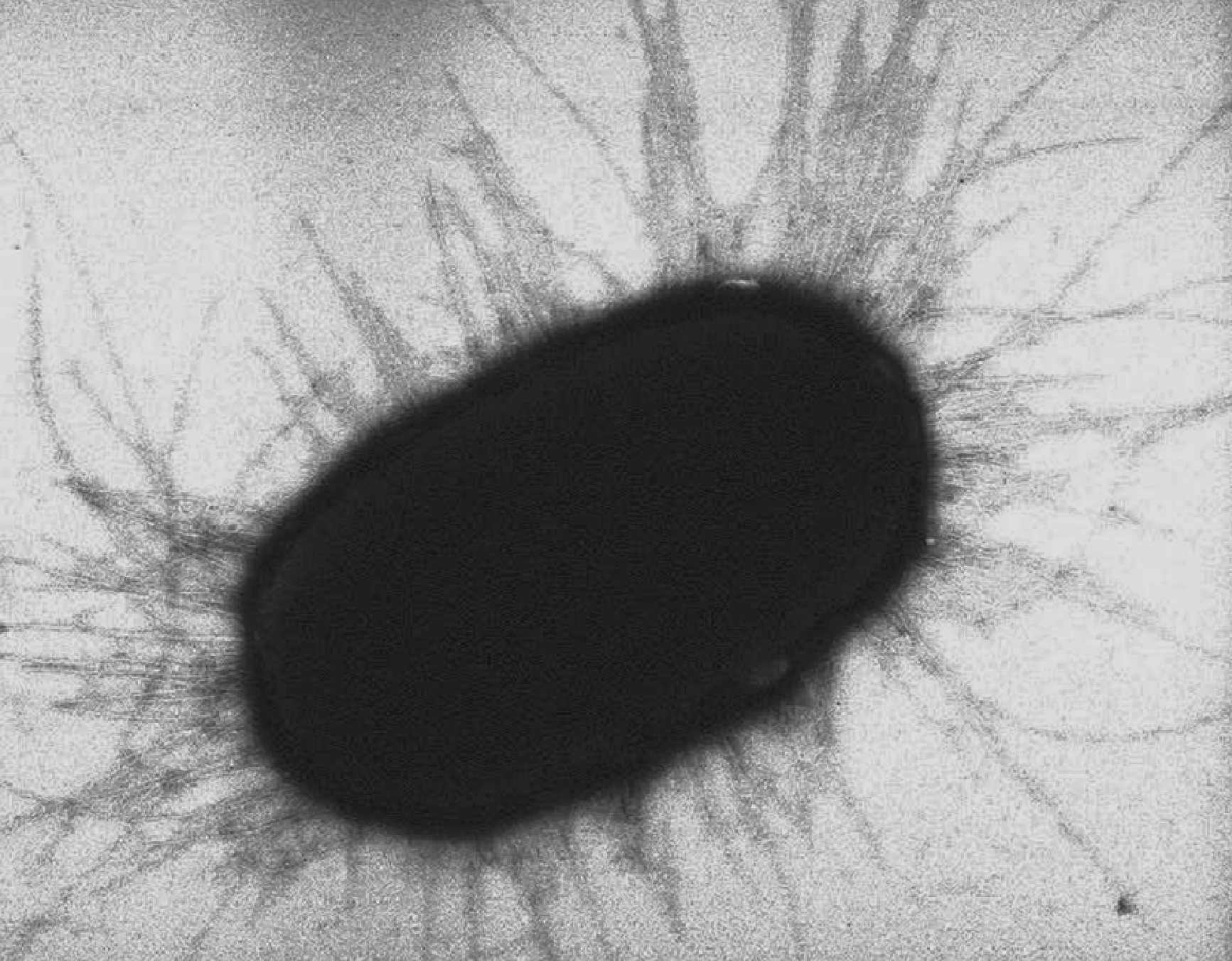 Fonte:pt.khanacademy.org